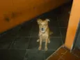 Marley
