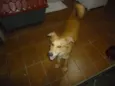 Marley