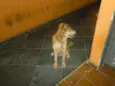 Marley