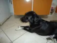 Tob