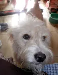 Léo