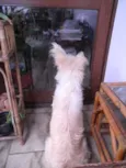 Léo