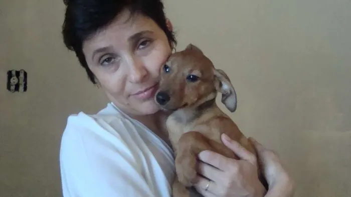 Cachorro ra a Vira Lata idade 2 a 6 meses nome Sem nome