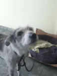 Nina