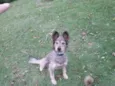 Wally