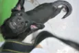 Meia Noite