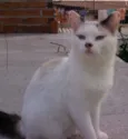 Boby