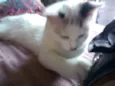 Boby