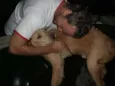 Tofe