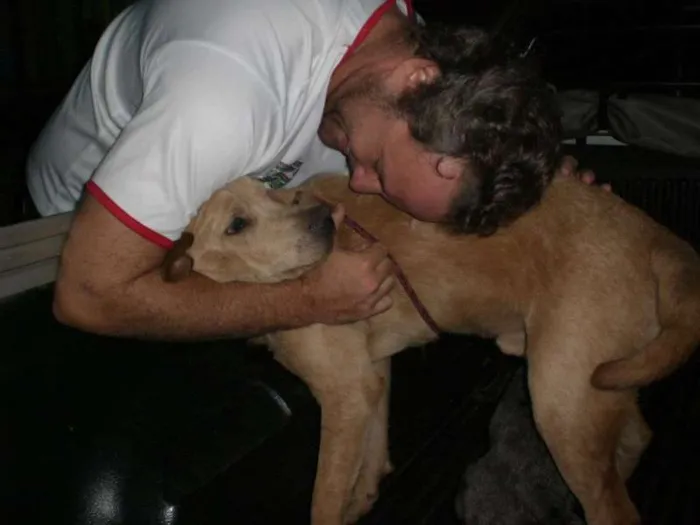 Cachorro ra a srd idade 2 anos nome Tofe