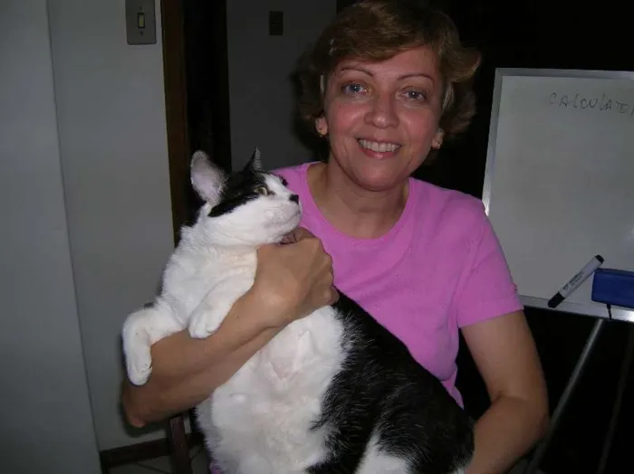 Gato ra a SRD idade 6 ou mais anos nome Felicity/Vitória