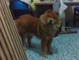 Zeus