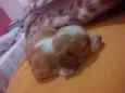 Sem nome ainda