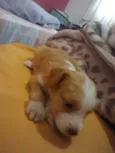 Sem nome ainda