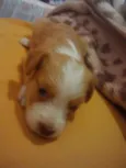 Sem nome ainda