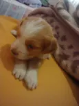 Sem nome ainda