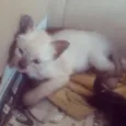 Tina