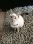 Mel