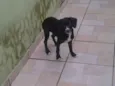 Bolão