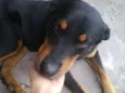 negão