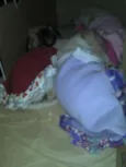 Ninhada Resgatada d