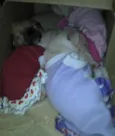 Ninhada Resgatada d
