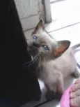 Tina