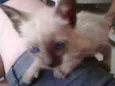 Tina