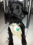 João 