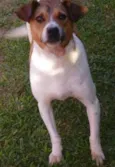 Vitorio