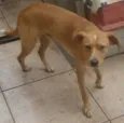 Banzé
