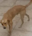 Banzé