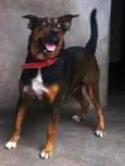 Pilar
