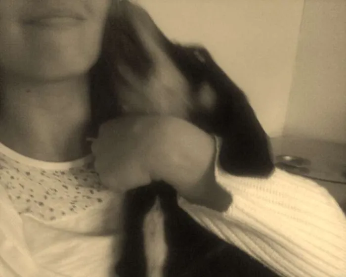 Cachorro ra a SRD idade 3 anos nome Babi
