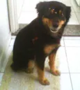 MORENA (LINDA, AMOR