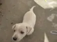 nao tem