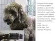 não sei 