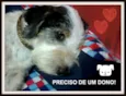 Pancho