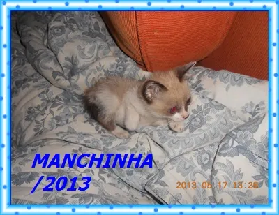 manchinha