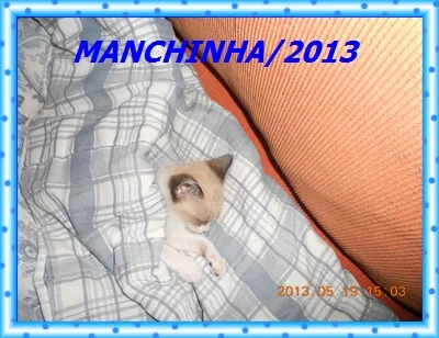 manchinha
