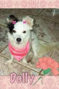 DOLLY