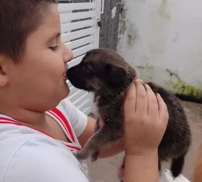 Cachorro ra a n sei idade Abaixo de 2 meses nome atila