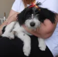 Carlotta