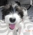 Carlotta