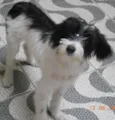 Carlotta