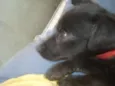 Matilda