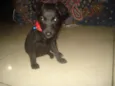 Matilda