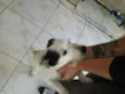Preta e Branco