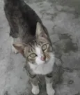 Salem e Branca