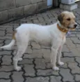 Cida